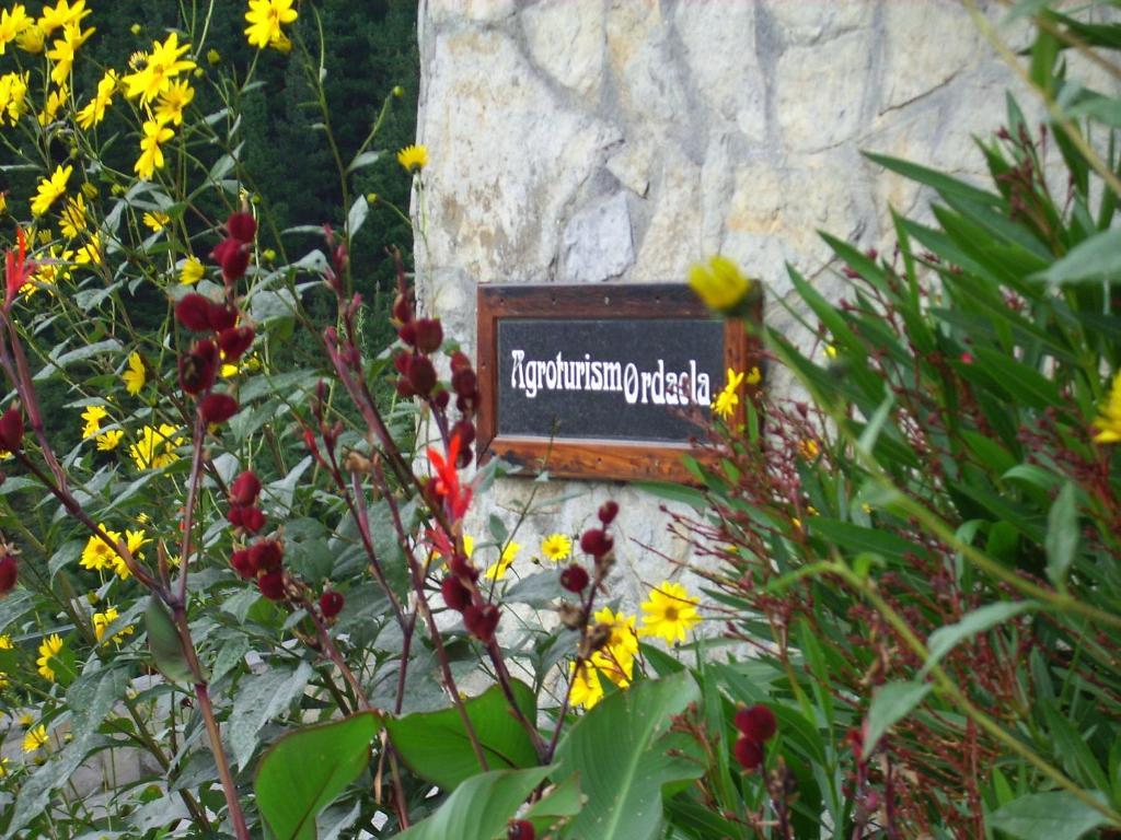 Alonsotegi Agroturismo Ordaola المظهر الخارجي الصورة